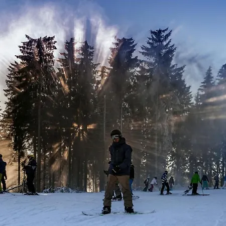 Lejlighed Stadtstreuner Winterberg