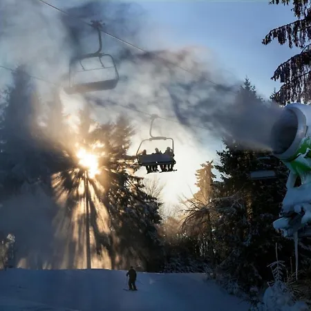 Lejlighed Stadtstreuner Winterberg