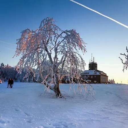 Stadtstreuner Lejlighed Winterberg